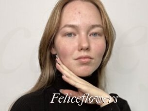 Feliceflowers