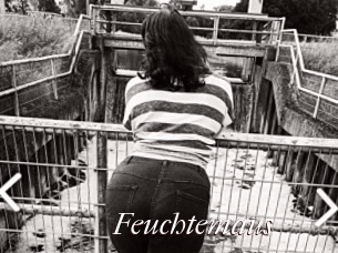 Feuchtemaus