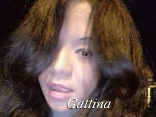 Gattina