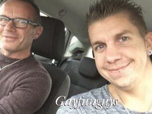 Gayfunguys