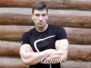 Gektor