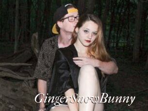 GingerSnowBunny