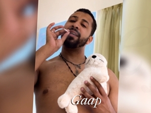 Gaap