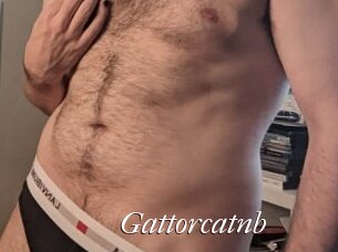 gattorcatnb Cam Sexy