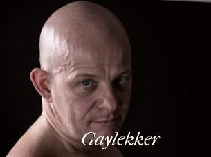 Gaylekker
