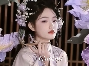 Guohui