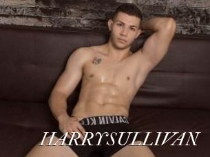 HARRYSULLIVAN