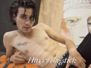 Harrys_bigstick