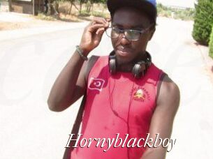 Hornyblackboy