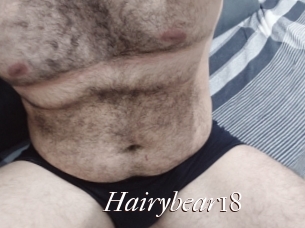 Hairybear18