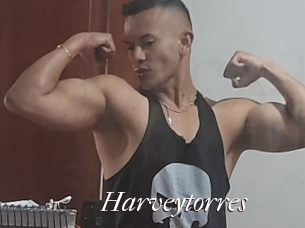 harveytorres Cam Sexy