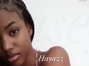 Haya23