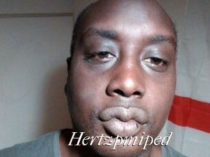 Hertzpmiped
