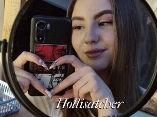 Hollisatcher