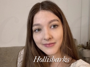 Hollisbarks