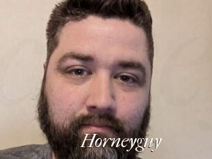 horneyguy Cam Sexy