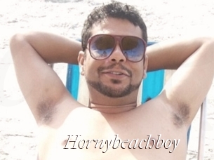 Hornybeachboy