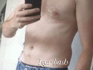 Igor_bash
