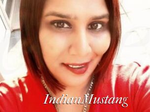 IndianMustang