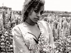 Indigo_22