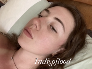 Indigoflood