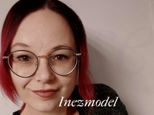 Inezmodel