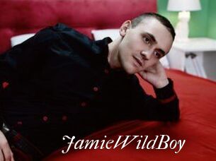 JamieWildBoy