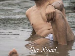 Joe_Novel