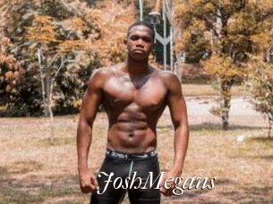 JoshMegans