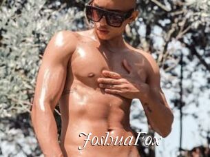 JoshuaFox