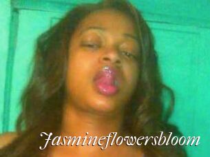 jasmineflowersbloom Cam Sexy
