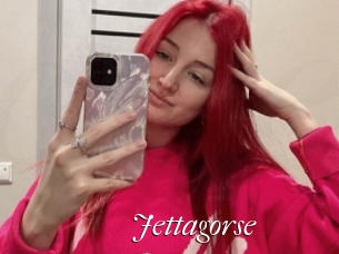 Jettagorse