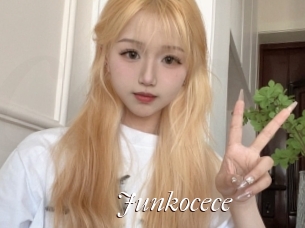 Junkocece