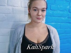 KaliSpark