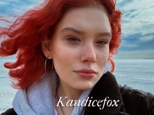 Kandicefox