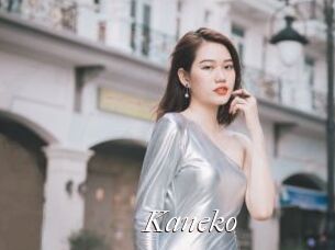 Kaneko