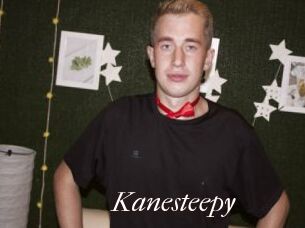 Kanesteepy