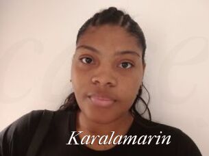 Karalamarin