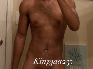 Kingqaa233