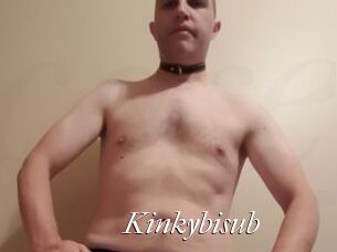 Kinkybisub