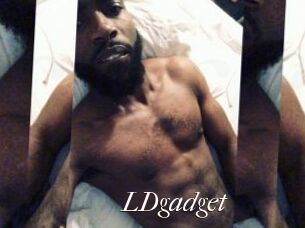 LDgadget