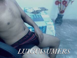 LUIGUISUMERS