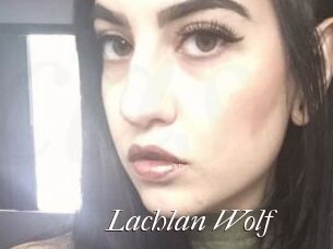 Lachlan_Wolf