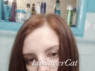 LilGingerCat