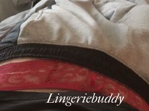 Lingeriebuddy