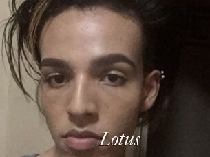 Lotus