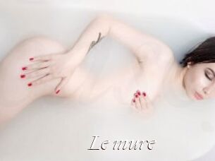 Le_mure