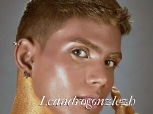 Leandrogonzlezh