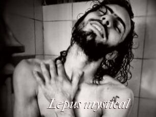 Lepus_mystical