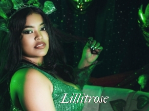 lillitrose Cam Sexy